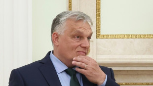 Baerbock: "Irritationen" in der EU &uuml;ber m&ouml;glichen Besuch Orbans bei Trump