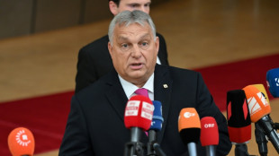 Ungarns Regierungschef: "Wer Migration unterst&uuml;tzt, unterst&uuml;tzt Terrorismus"