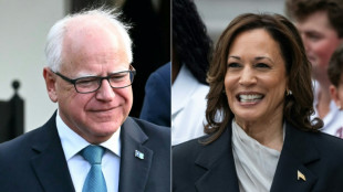 Microsoft: Russland verst&auml;rkt Desinformationskampagne gegen Harris 