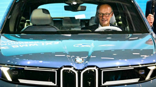 Merz to host German auto sector crisis meeting