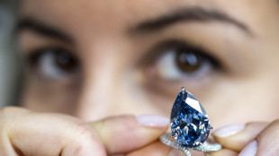 Venduto per 25 milioni di dollari il diamante 'Blu Mellon'