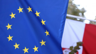 EuGH-Gutachten: Datenbank darf unter Umst&auml;nden bei Zwangsvollstreckung verkauft werden