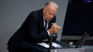 Gr&uuml;nen-Politiker Trittin scheidet im Januar aus Bundestag aus