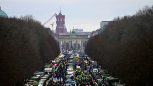 Tausende Bauern protestieren in Berlin - Kaum Zugest&auml;ndnisse der Bundesregierung