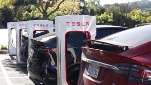 Tesla smentisce il Wsj, 'non cerchiamo sostituti di Musk'