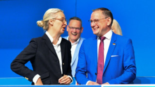 AfD beginnt zweit&auml;gigen Parteitag in Essen - Massive Gegendemo und Polizeipr&auml;senz