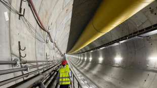 Il Tunnel del Brennero avr&agrave; nuovamente fondi Cef dall'Europa
