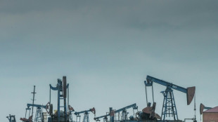 EU-Staaten ringen um &Ouml;lembargo gegen Russland