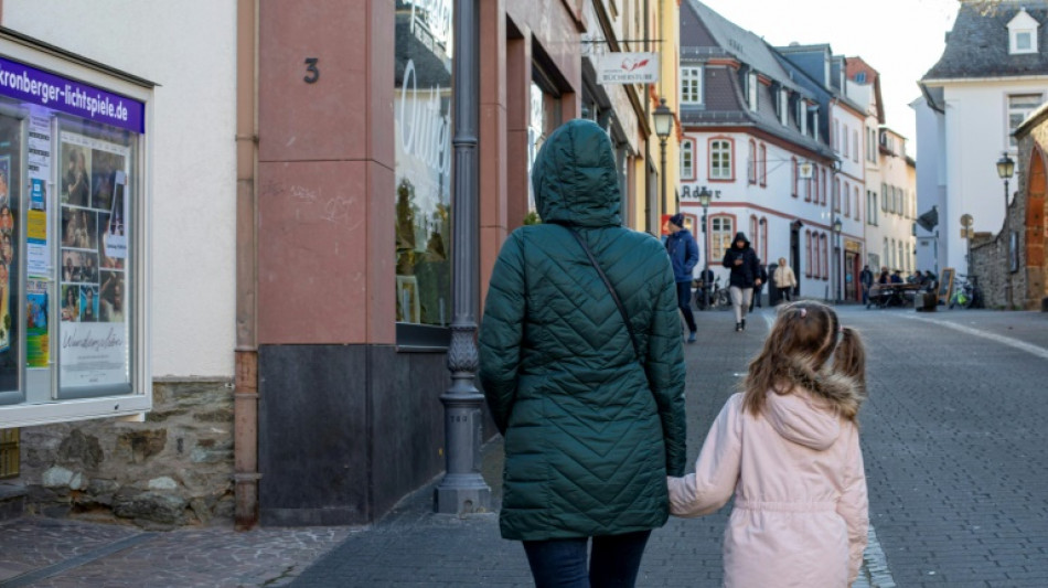 Linke fordert f&uuml;r Alleinerziehende Haushaltshilfe auf Staatskosten 