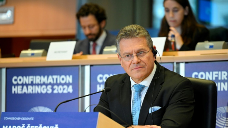 EU-Kommissare auf dem Pr&uuml;fstand: Anh&ouml;rungen im Europaparlament begonnen