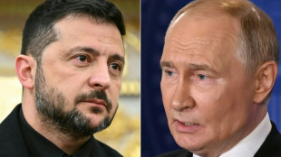 Schweiz würde Putin bei Teilnahme an Ukraine-Konferenz "Immunität" garantieren