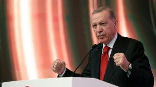 T&uuml;rkei erl&auml;sst wegen Gazakriegs Exportbeschr&auml;nkungen gegen Israel