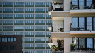 Ifo: Auftragsmangel im Wohnungsbau geht leicht zur&uuml;ck 