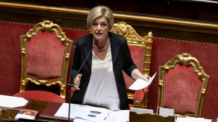 Calderone, serve un patto nazionale per la sicurezza