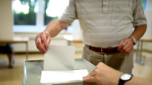 Vier Wochen vor Bundestagswahl: Landeswahlausschüsse lassen Listen überwiegend zu