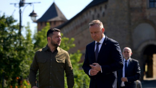 Zelensky esp&egrave;re "le meilleur r&eacute;sultat" du sommet de l'Otan de Vilnius