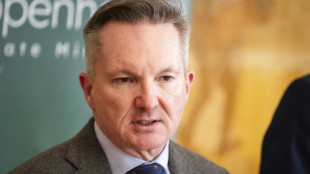'Temos que abandonar os combust&iacute;veis f&oacute;sseis', diz &agrave; AFP chefe de negocia&ccedil;&otilde;es da COP31