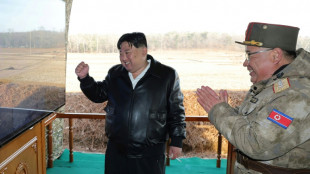 Nordkoreas Machthaber Kim beaufsichtigt &Uuml;bungen mit "besonders gro&szlig;en" Mehrfachraketenwerfern