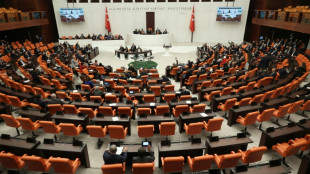 T&uuml;rkisches Parlament stimmt Nato-Beitritt Schwedens zu