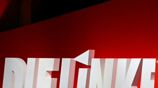 Linke beginnt Bundesparteitag in Halle