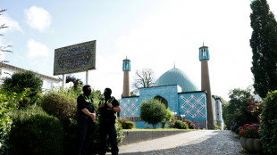 Fr&uuml;herer Leiter von Islamischem Zentrum Hamburg aus Deutschland ausgereist