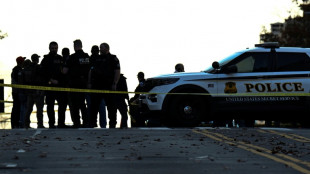 Mort d'une des militaires attaqués à Washington, les Etats-Unis réexaminent des milliers de "cartes vertes"