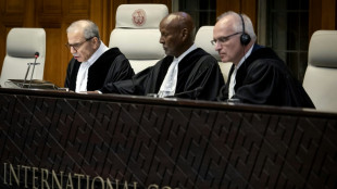 IGH stellt Gutachten zu Israels Besatzungspolitik in Pal&auml;stinensergebieten vor