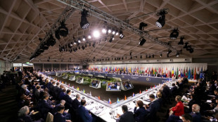 Nuklearsicherheit und R&uuml;ckkehr verschleppter Kinder im Fokus von Ukraine-Konferenz