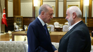 T&uuml;rkischer Pr&auml;sident Erdogan trifft voraussichtlich Hamas-F&uuml;hrer Ismail Hanija