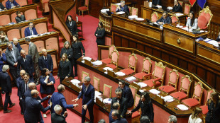 Il Senato approva il dl sicurezza, ora di corsa alla Camera per ok finale