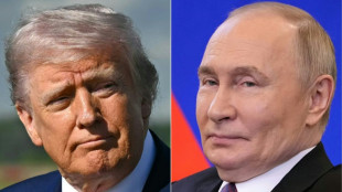 Deutsche Politik blickt mit Spannung und Sorge auf Gipfel von Trump mit Putin