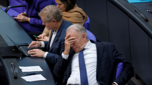 Trittin spricht von "Staatsversagen" bei Angriffen gegen Gr&uuml;ne