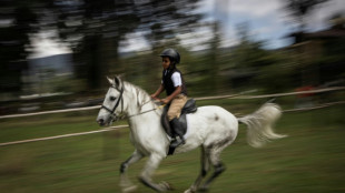 Gemeinn&uuml;tziger Reitverein muss Sozialversicherung f&uuml;r Lehrerin ohne Pferd zahlen