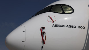 Airbus verso l'addio alle Big Tech, 'cloud sovrano Ue per i dati'