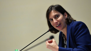 Schlein, il Pd &egrave; testardamente impegnato a costruire alleanze