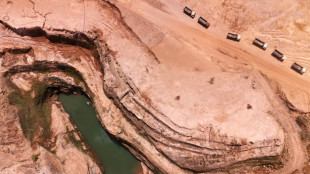 El verdadero precio del oro: yerbateros e ind&iacute;genas contra la fiebre minera en Paraguay