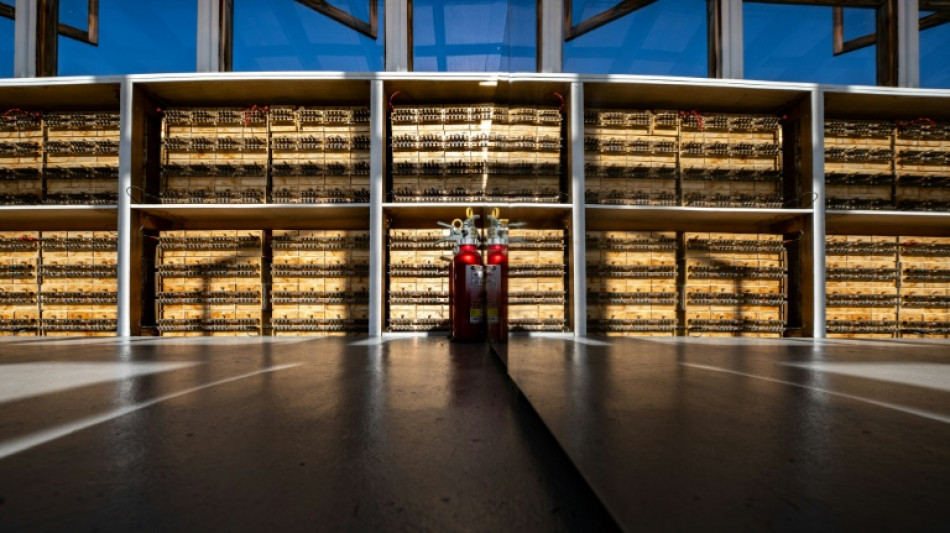Tiny light, big dream: Harvesting power from soil in Japan