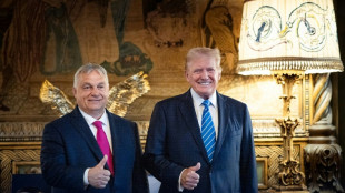 Orban sorgt mit Besuch bei Trump f&uuml;r neue Irritationen in der EU