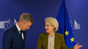 Magyar &agrave; Bruxelles pour tourner la page Orban