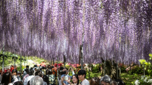 Inflation, hotel prices curtail Japanese 'Golden Week' travels