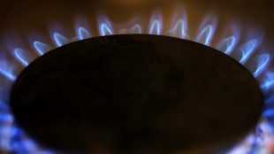 Ue, 'nessun rischio immediato su forniture di gas, stock al 62%'