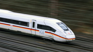 Bahn dankt Fu&szlig;ballfans f&uuml;r Geduld und zieht positive Bilanz der ersten EM-Woche