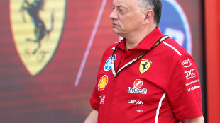 Gp Bahrain: Vasseur "McLaren &egrave; avanti ma in Arabia sar&agrave; diverso"
