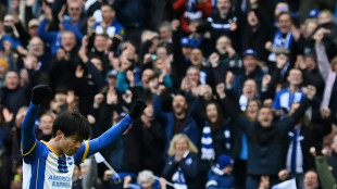 Brighton post Premier League record profit of &pound;122.8 million