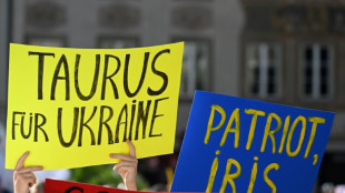 Gr&uuml;nen-Politikerin Nanni: Ringtausch f&uuml;r Ukraine "besser als weiter diskutieren"