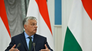 Orban auf selbst erkl&auml;rter "Friedensmission" in Peking eingetroffen