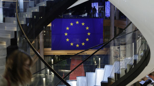 L'Ue getta le basi per istituto scientifico virtuale per l'IA