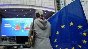 Union in Umfrage vor Europawahl vorn - AfD im Osten st&auml;rkste Kraft