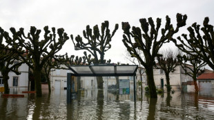 Crues: un homme port&eacute; disparu dans la Loire, l'eau continue de monter