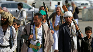 Yemen's Houthis complete takeover of Bab al-Mandab area: govt official to AFP